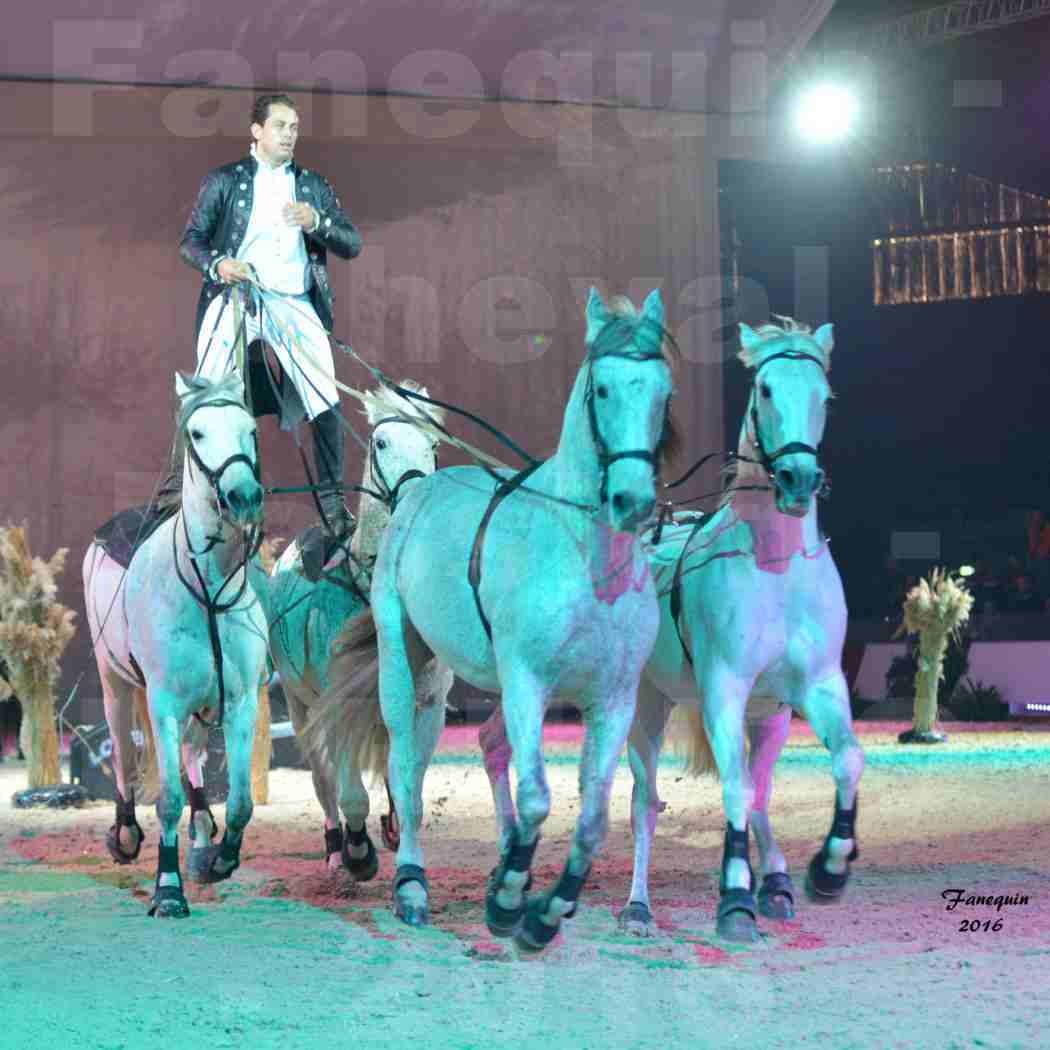 Cheval Passion 2016 - Spectacle les Crinières d'OR - LORENZO "Noir" - représentation du 23 janvier 2016 - 12