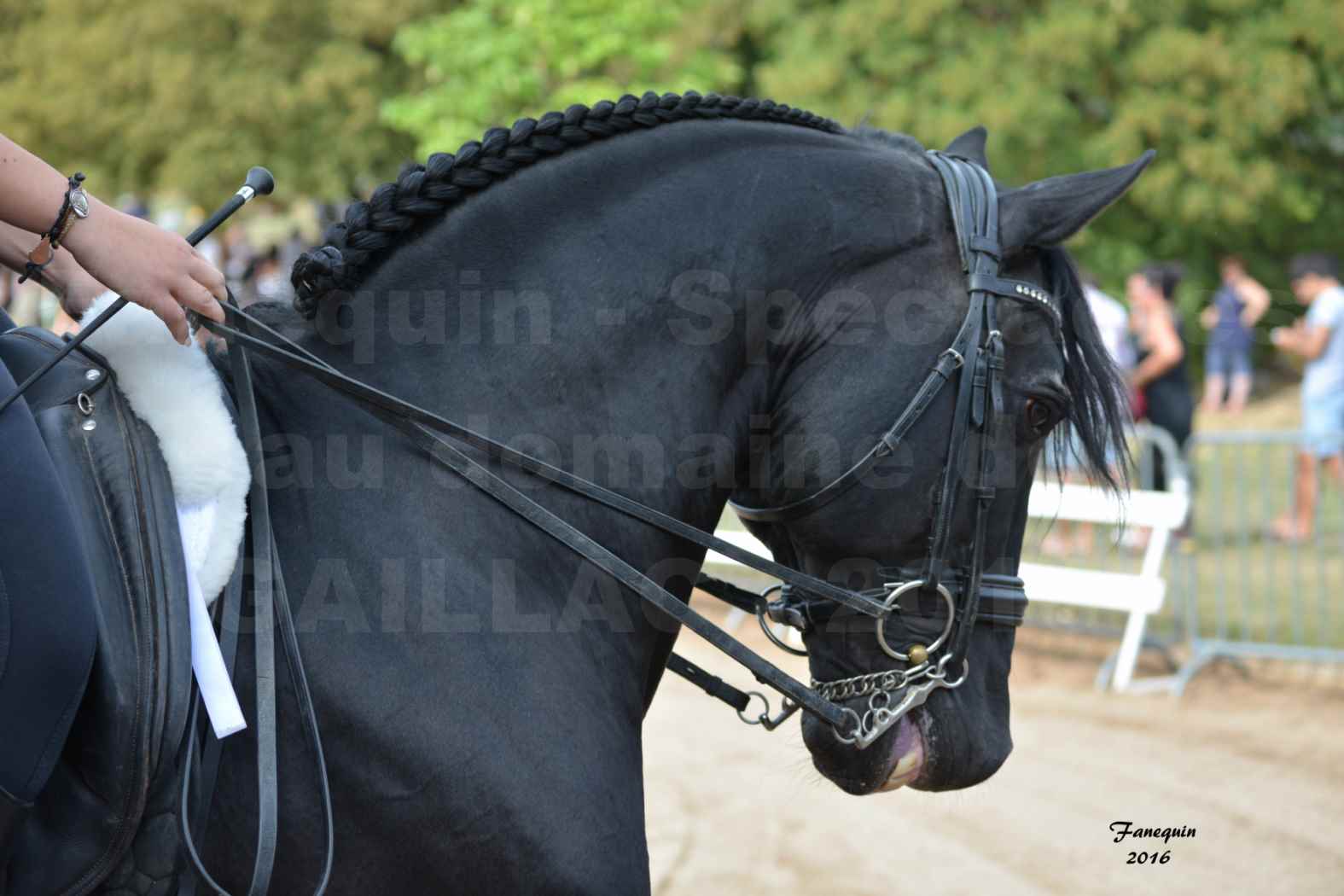 Spectacle équestre le 3 Septembre 2016 au Domaine de GAILLAC - Cavalières HASTALUEGO en reprise - 5