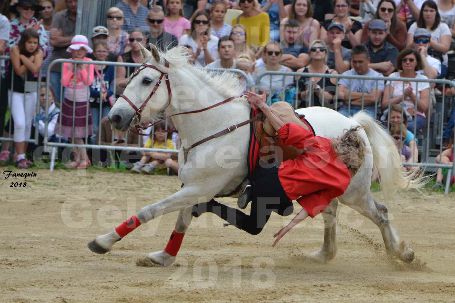 Spectacle Équestre le 3 juin 2018 à Saint Gély du Fesc - Voltige équestre - Troupe de Jean Antoine FIRMIN - 44