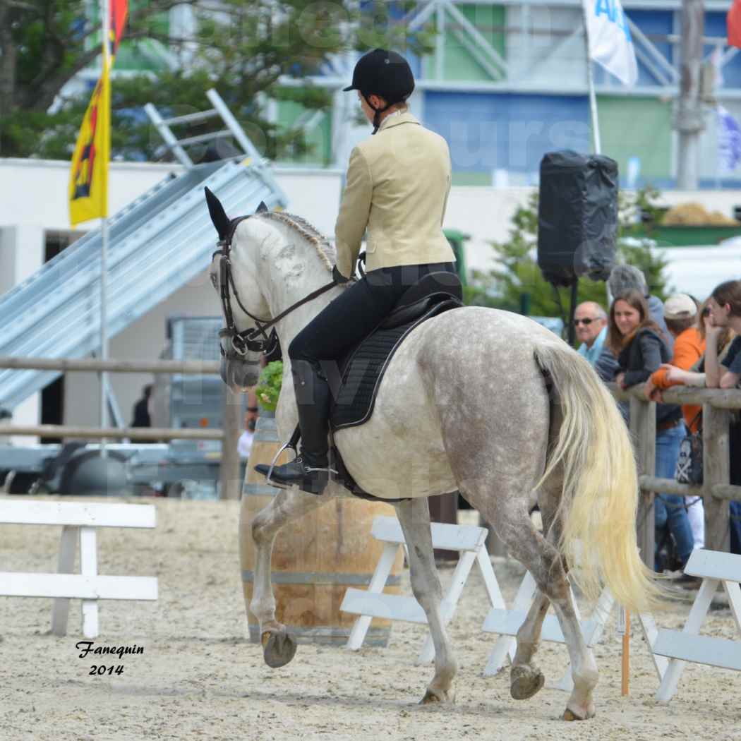 Salon Equitaine de Bordeaux en 2014 - concours Equitation de travail - Épreuve de Dressage - 06