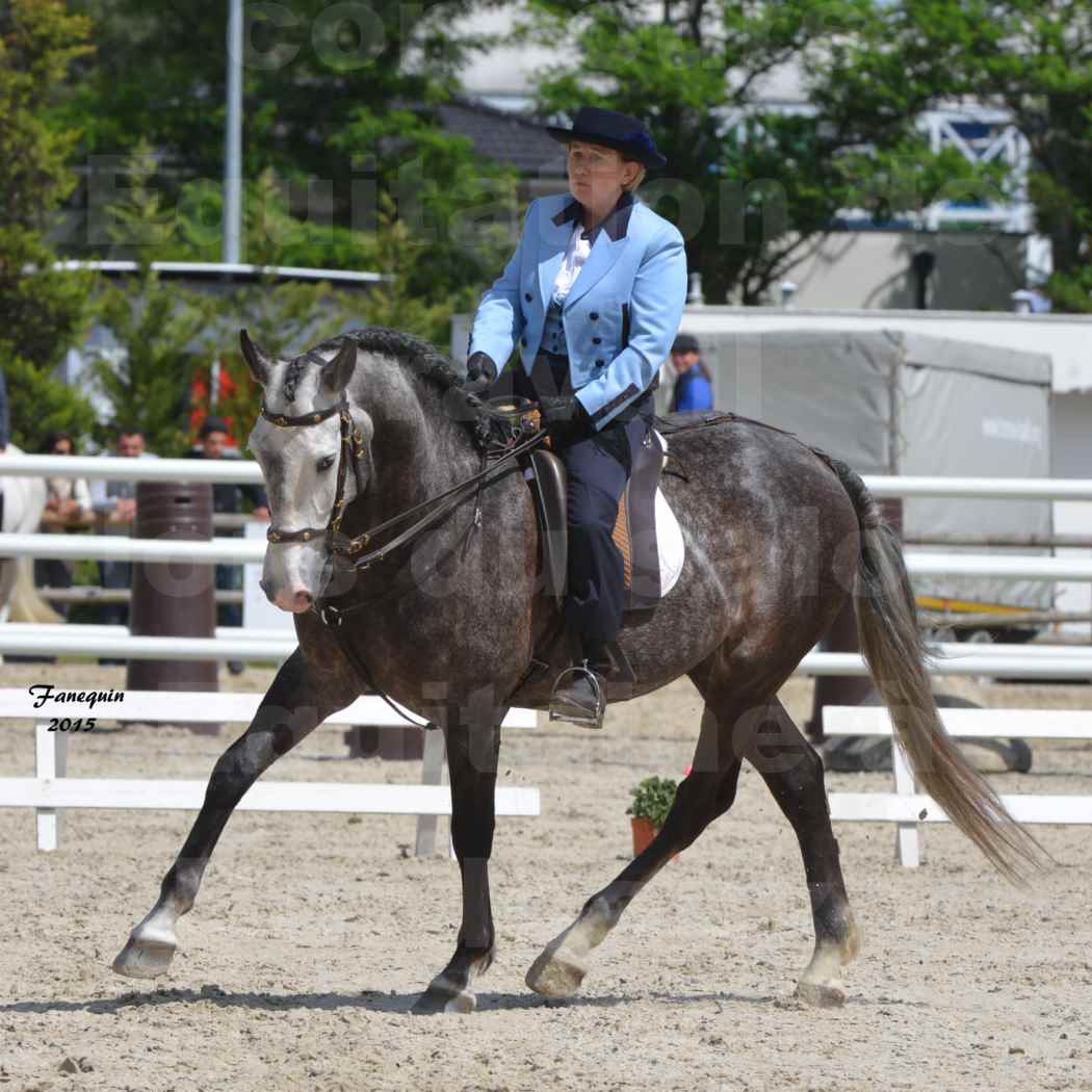 Salon Equitaine de Bordeaux 2015 - Concours d'Equitation de Travail avec chevaux Ibériques - P - 1