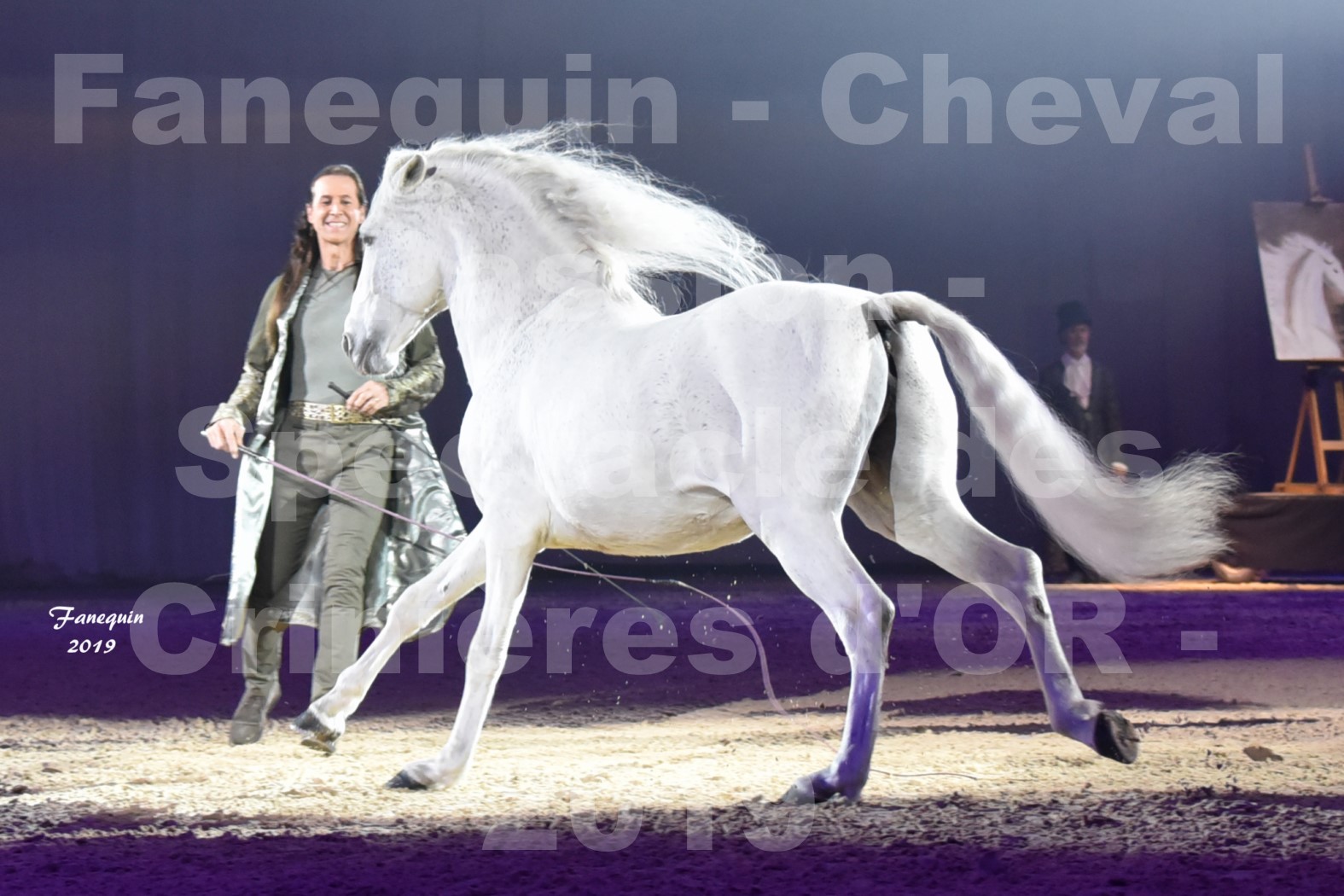 Cheval Passion 2019 - Spectacle des CRINIÈRES d'OR - Frédéric PIGNON & Cheval Gris en liberté - 4