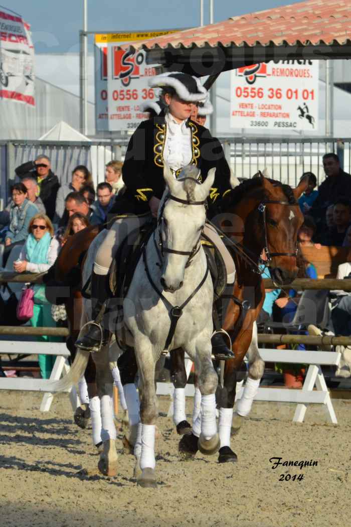 Carrousel de cavalières Equitation de travail lors du salon "Equitaine" à Bordeaux en 2014 - 21