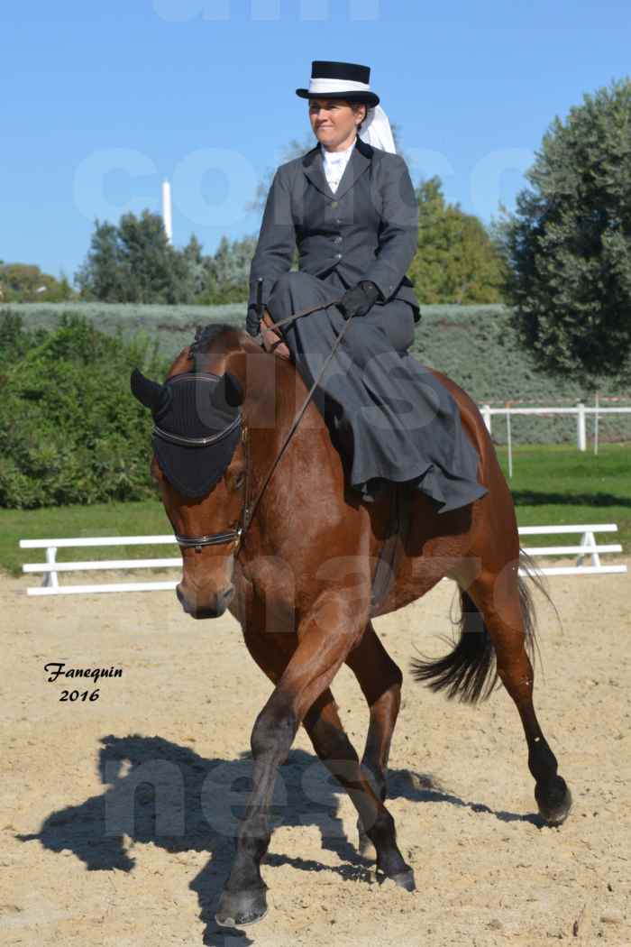 Concours Élégance d'Amazone au Haras d'UZES en Octobre 2016 - Véronique BOURGEON - 04