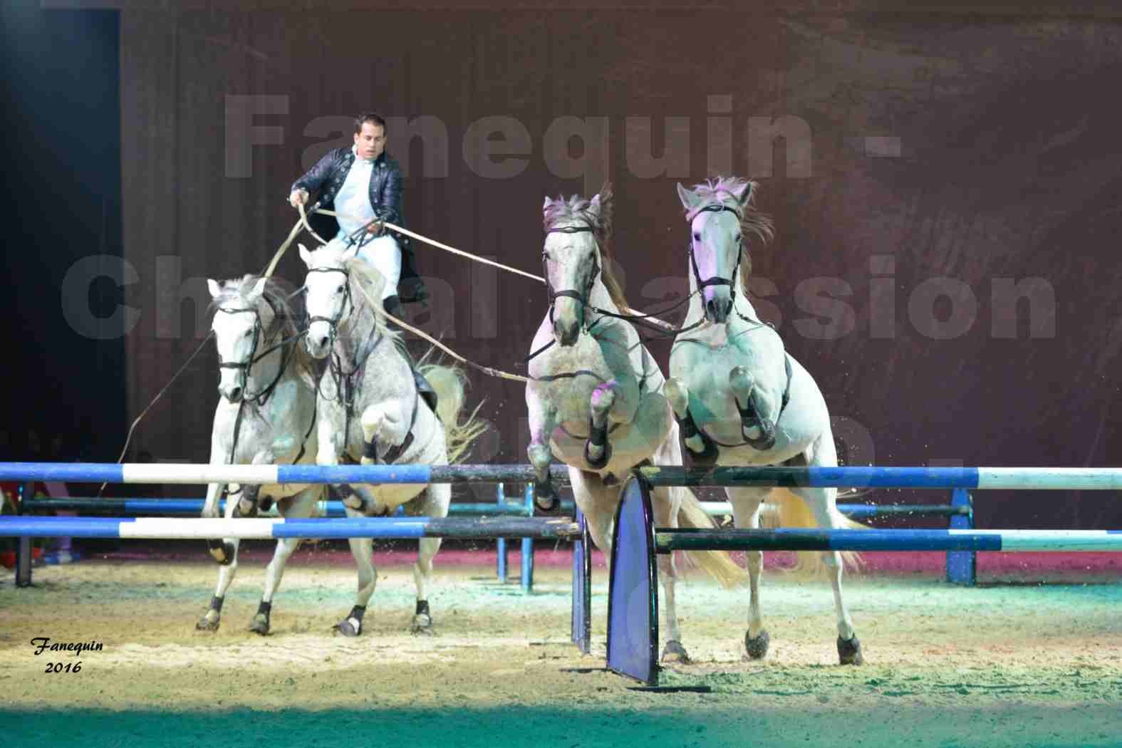 Cheval Passion 2016 - Spectacle les Crinières d'OR - LORENZO "Noir" - représentation du 23 janvier 2016 - 18