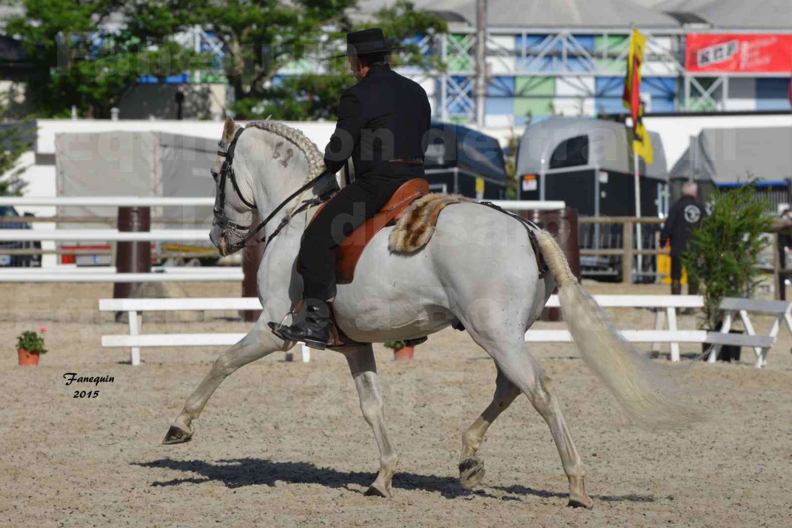 Salon Equitaine de Bordeaux 2015 - Concours d'Equitation de Travail avec chevaux Ibériques - K - 4