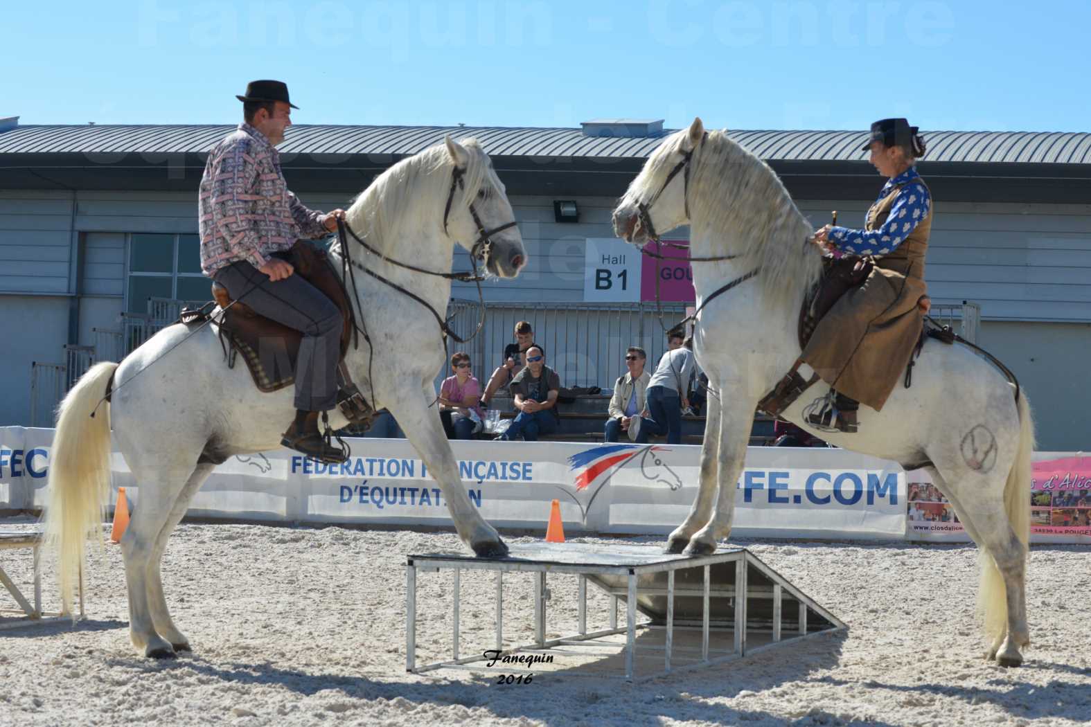 Centre équestre éphémère de la Foire de Montpellier 2016 - Dimanche 09 Octobre 2016 - Cavalières Camarguaises - 6