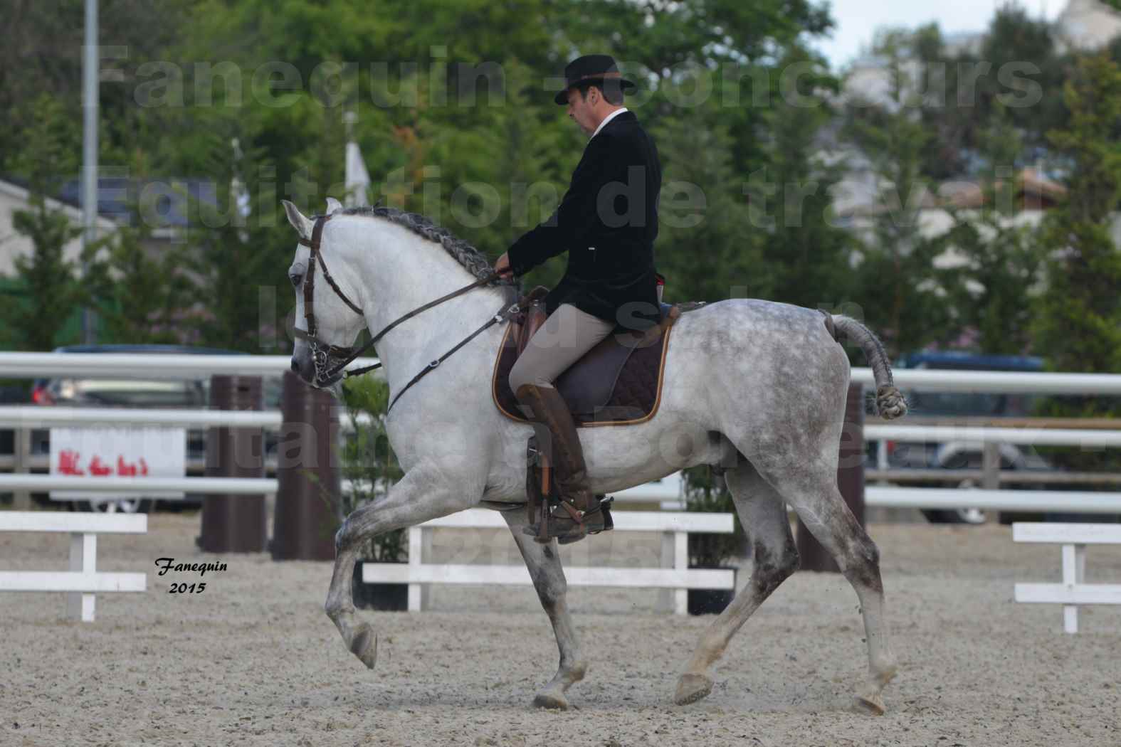 Salon Equitaine de Bordeaux 2015 - Concours d'Equitation de Travail avec chevaux Ibériques - N - 2
