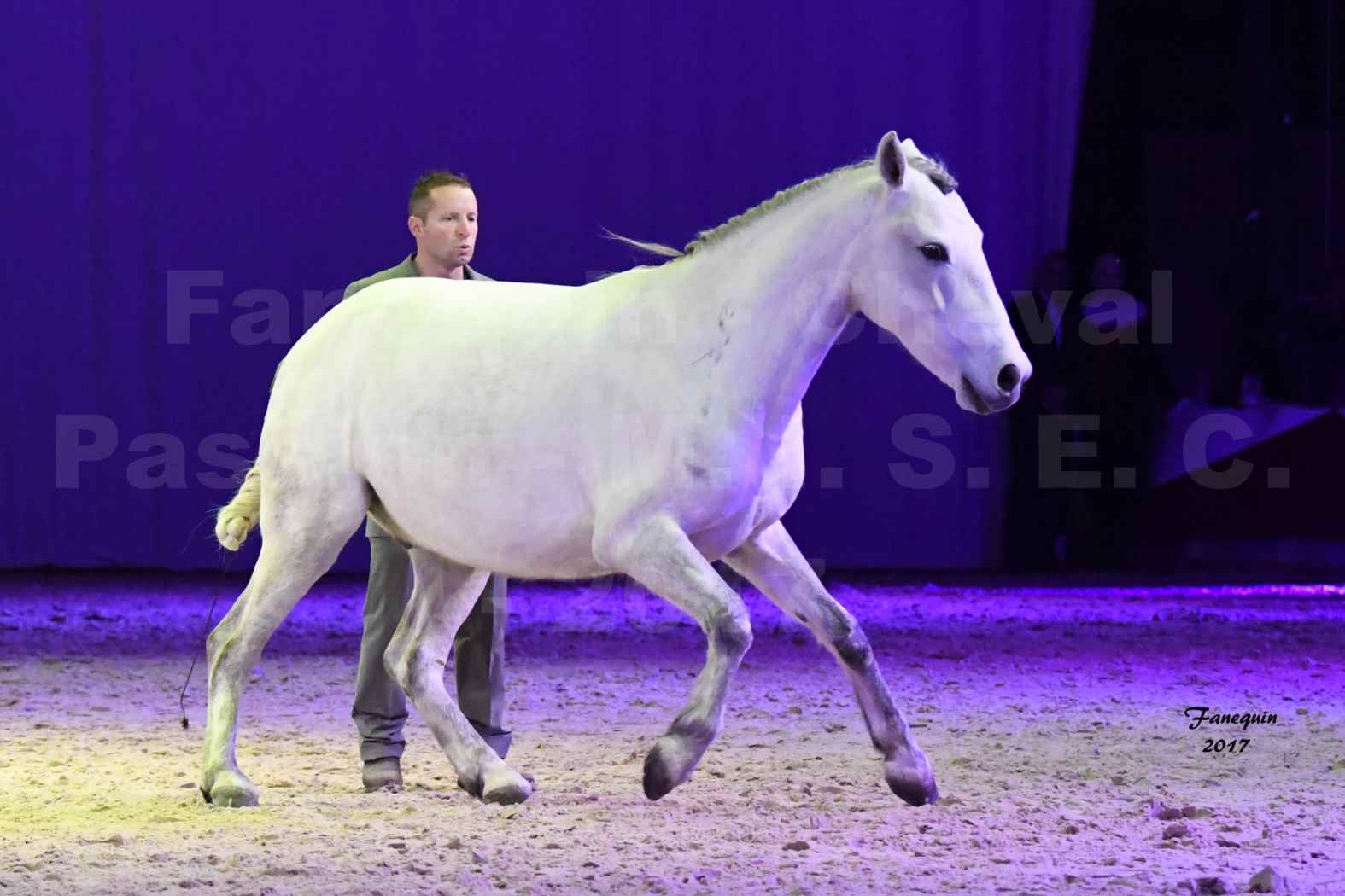 Cheval Passion 2017 - M. I. S. E. C. - Ludovic LONGO & 1 cheval en liberté - 03