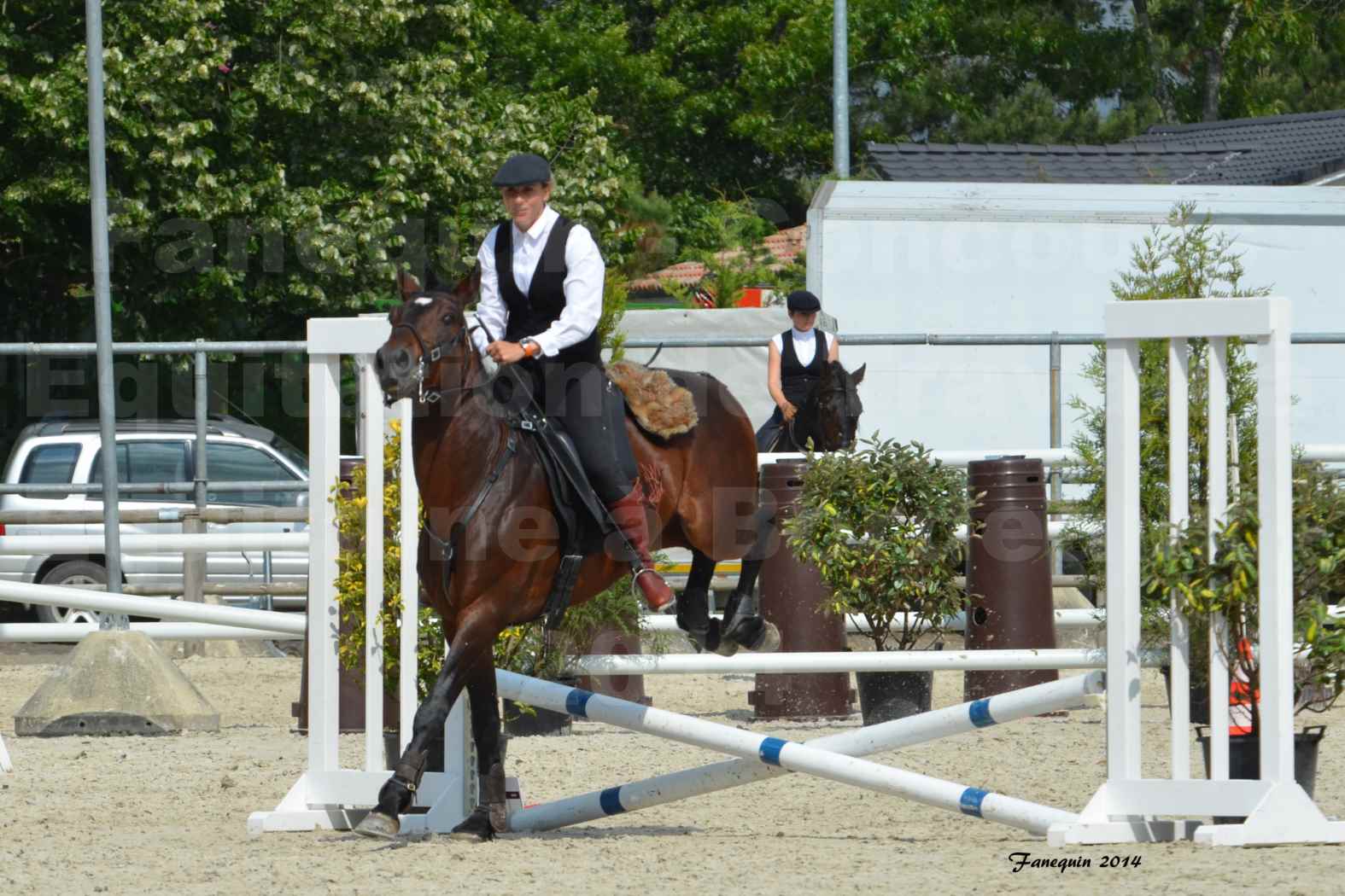 Salon Equitaine de Bordeaux en 2014 - concours Equitation de travail - Épreuve de Maniabilité chronométré - E - 08