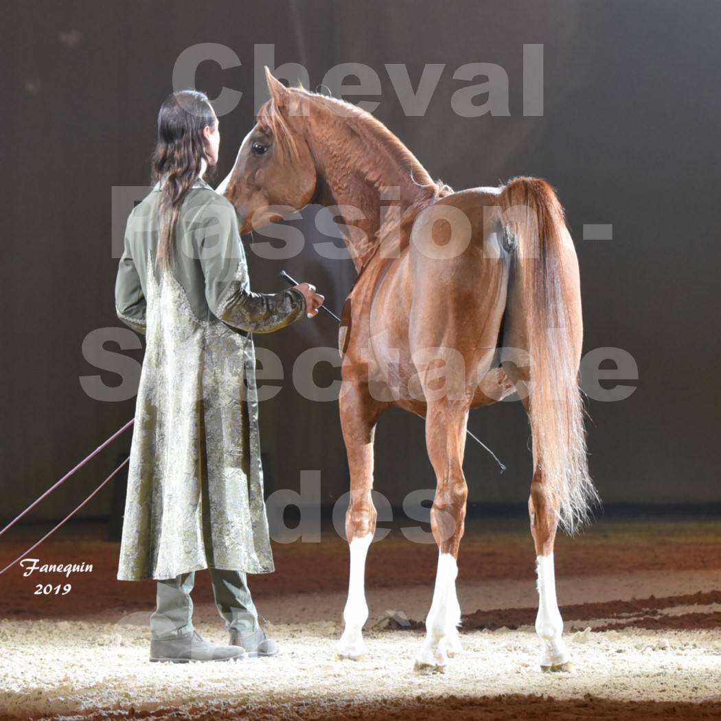 Cheval Passion 2019 - Spectacle des CRINIÈRES d'OR - Frédéric PIGNON & Cheval Alezan en liberté - 01