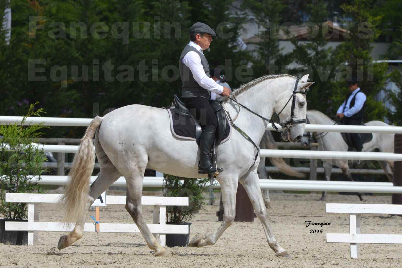 Salon Equitaine de Bordeaux 2015 - Concours d'Equitation de Travail avec chevaux Ibériques - X - 2