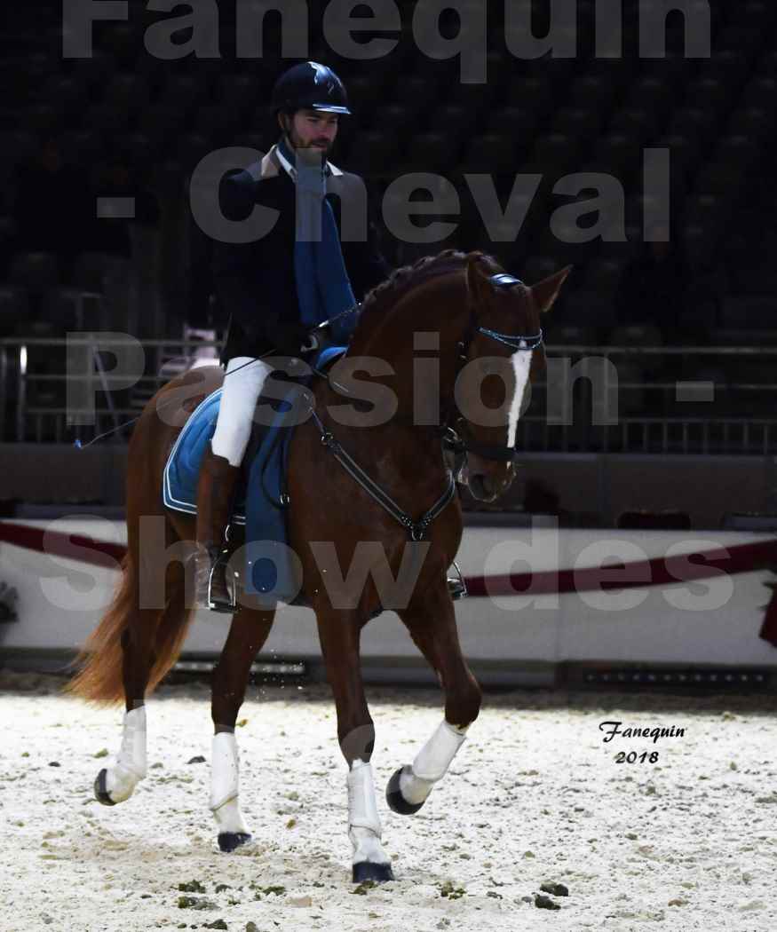 Cheval passion 2018 - Show des éleveurs - Chevaux ESPAGNOL - Notre Sélection 2 - 03