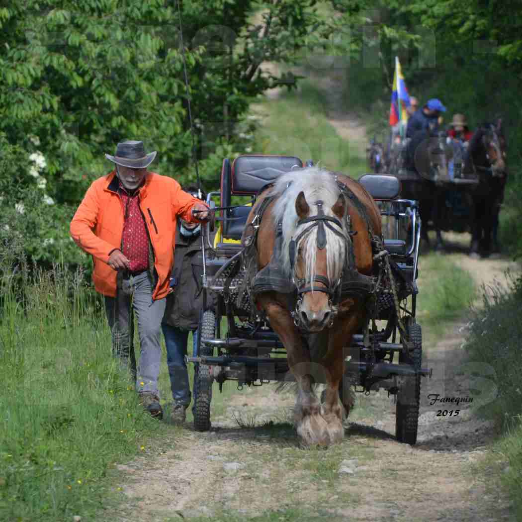 La Route Du Beaujolais 2015 - samedi 23 mai 2015 - parcours en matinée - 12