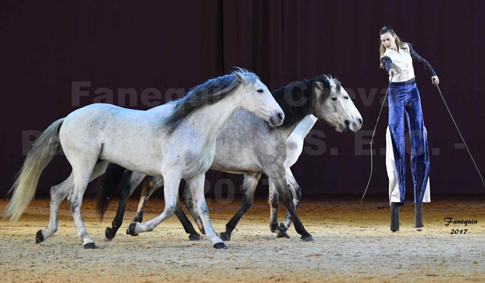 Cheval Passion 2017 - M. I. S. E. C. - Lucie VAUTHIER & 3 chevaux en liberté - 12