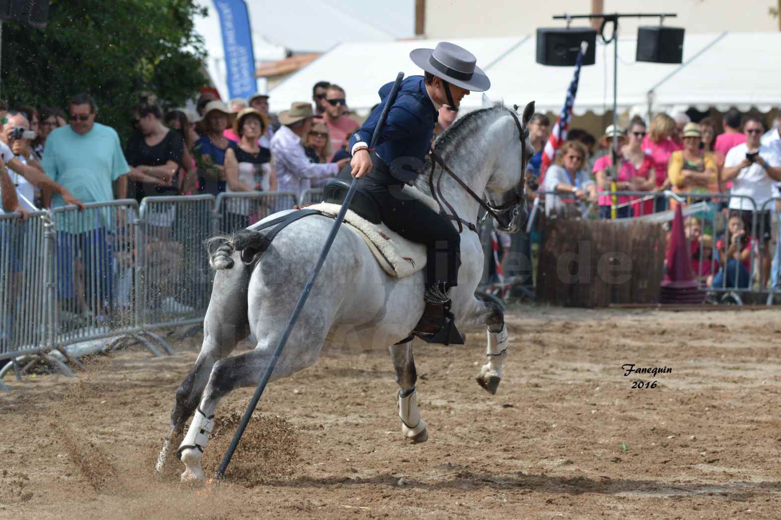 Spectacle équestre le 3 Septembre 2016 au Domaine de GAILLAC - Démonstration de Doma Vaquera - 4