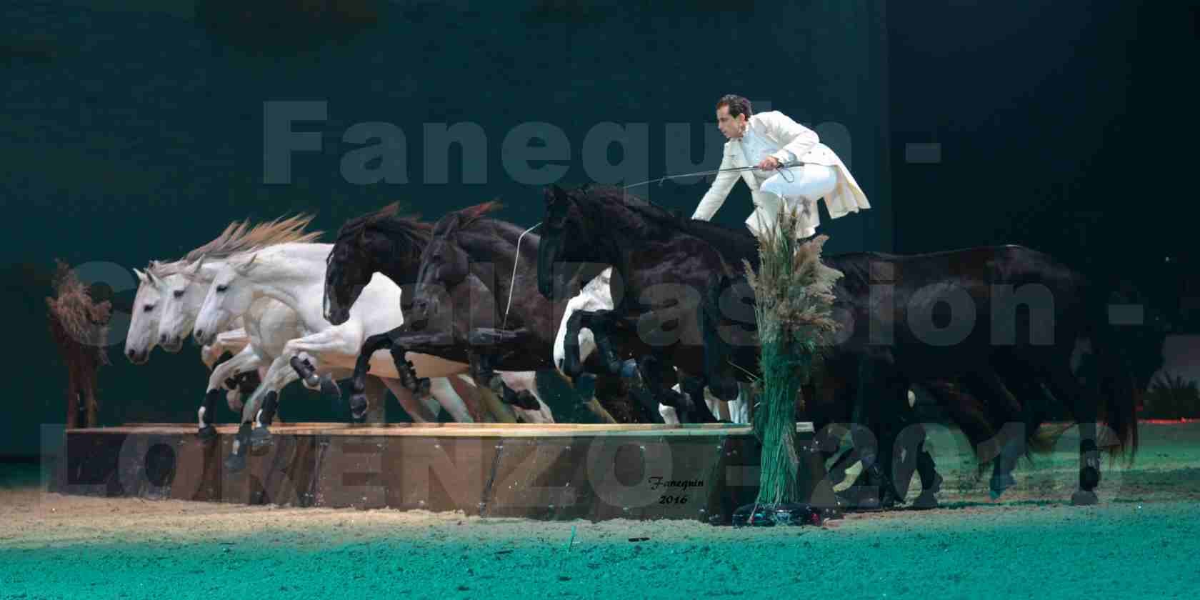 Cheval Passion 2016 - Spectacle les Crinières d'OR - LORENZO "Blanc" - représentation du 23 janvier 2016 - 13