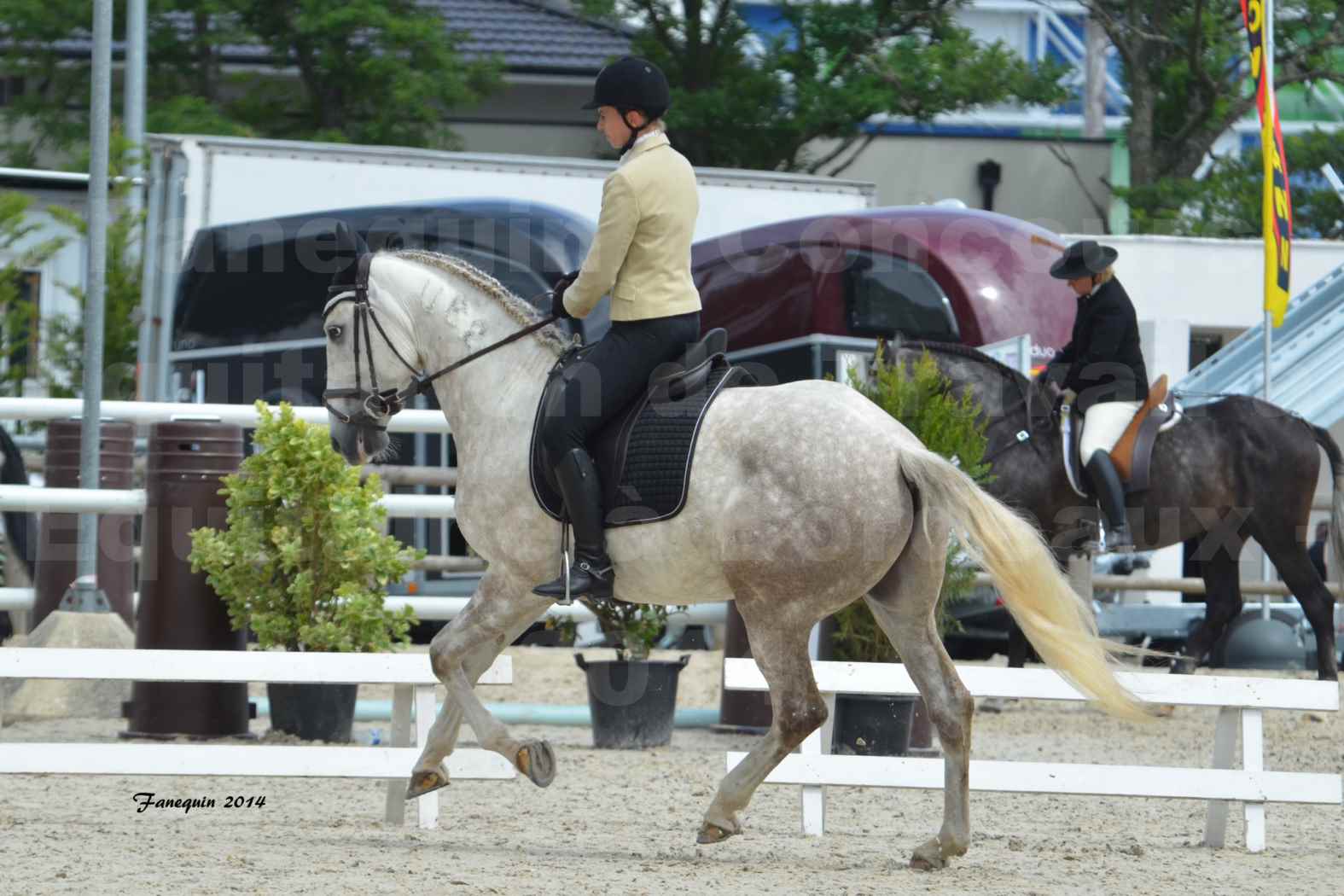 Salon Equitaine de Bordeaux en 2014 - concours Equitation de travail - Épreuve de Dressage - 10