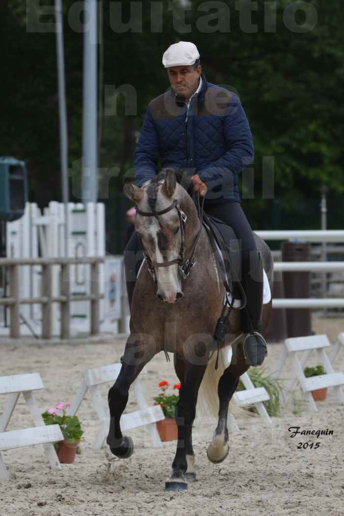 Salon Equitaine de Bordeaux 2015 - Concours d'Equitation de Travail avec chevaux Ibériques - L - 04
