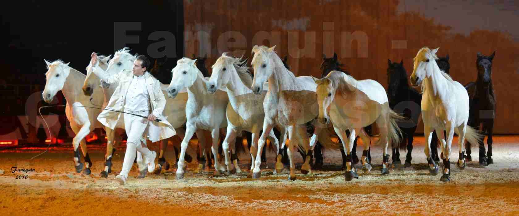 Cheval Passion 2016 - Spectacle les Crinières d'OR - LORENZO "Blanc" - représentation du 20 janvier 2016 - 47