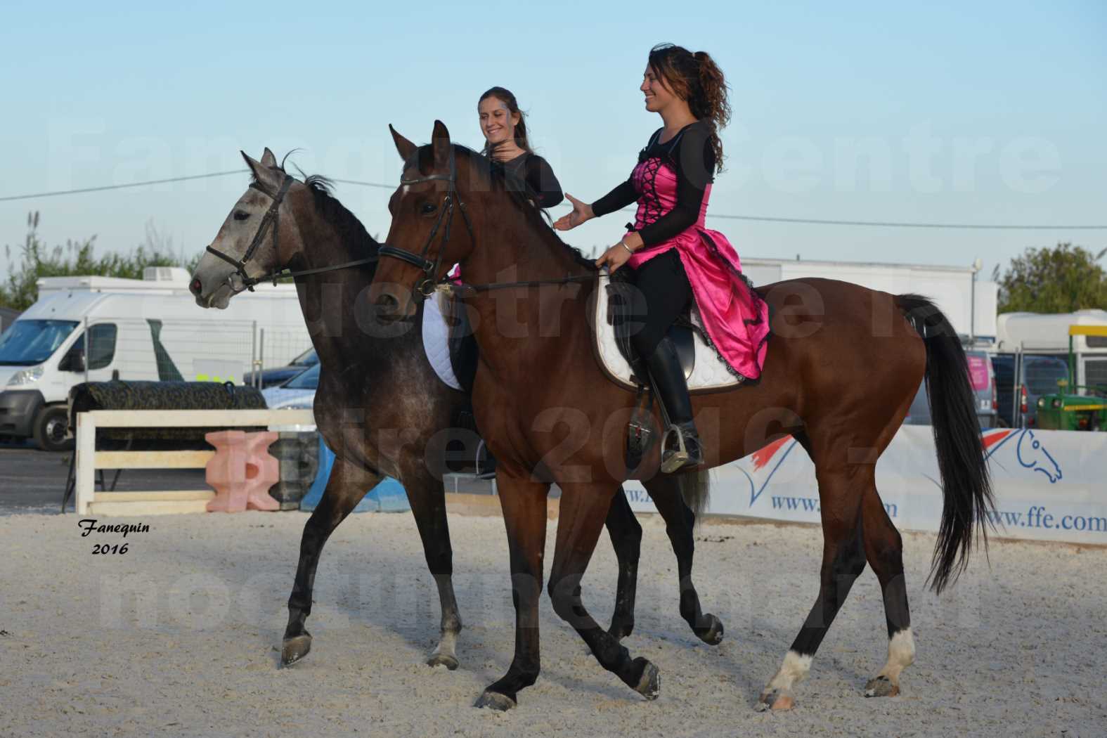 Centre équestre éphémère de la Foire de Montpellier 2016 - Mardi 11 Octobre 2016 - Spectacle Nocturne - 03