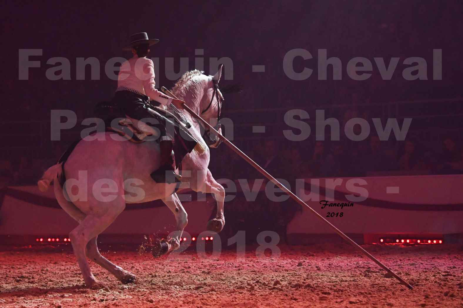 Cheval Passion 2018 - Spectacle Les Crinières d'OR 2018 - Doma Vaquera féminin - 08