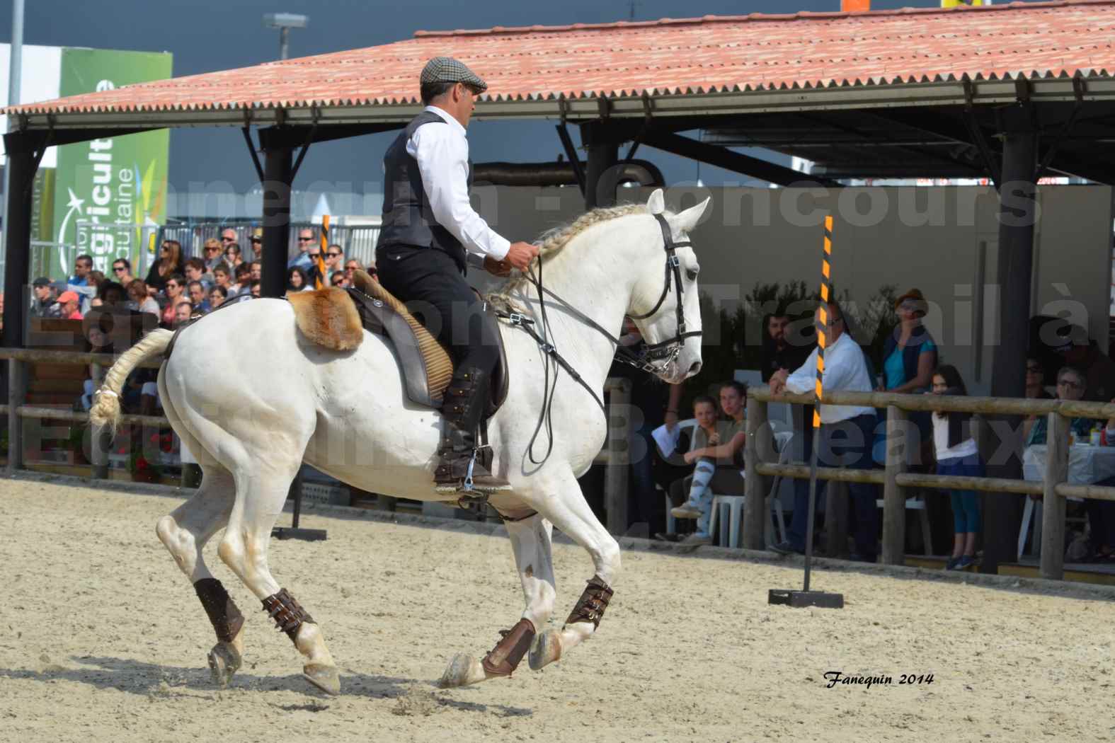 Salon Equitaine de Bordeaux en 2014 - concours Equitation de travail - Épreuve de Maniabilité chronométré - H - 01