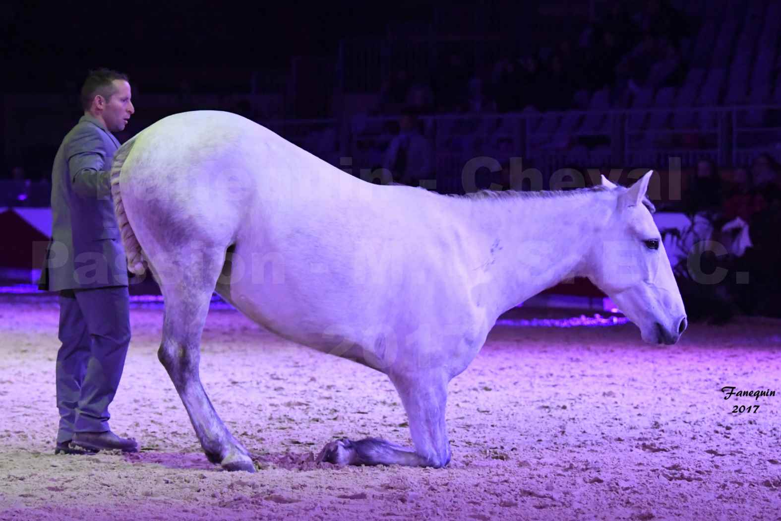 Cheval Passion 2017 - M. I. S. E. C. - Ludovic LONGO & 1 cheval en liberté - 11