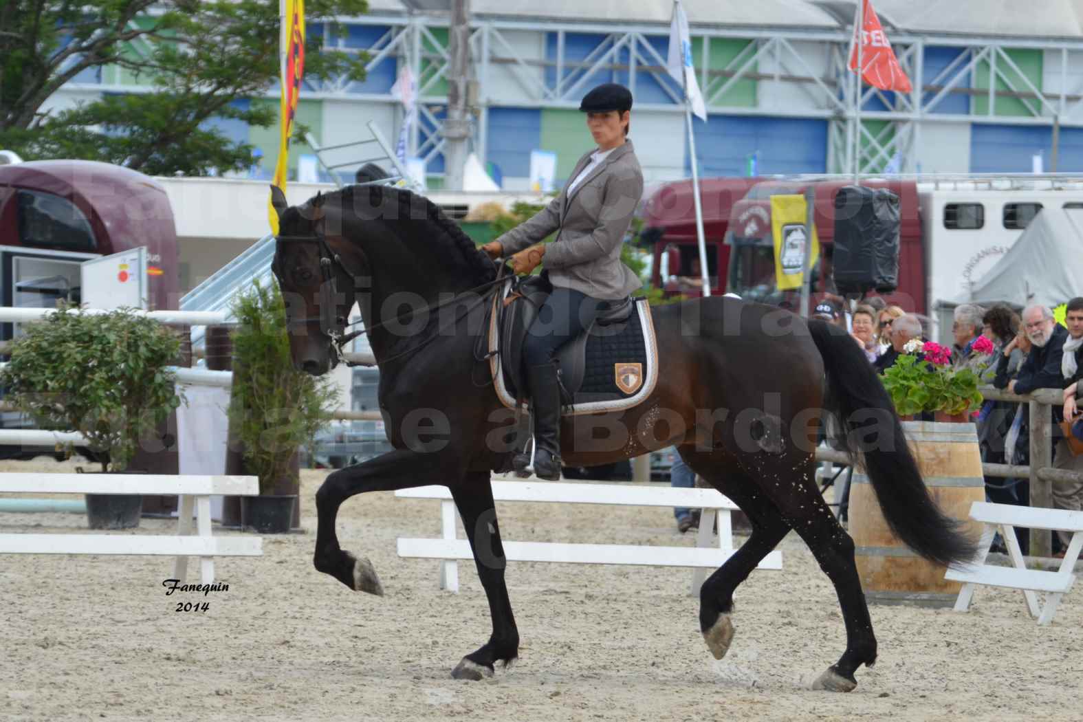 Salon Equitaine de Bordeaux en 2014 - concours Equitation de travail - Épreuve de Dressage - 01