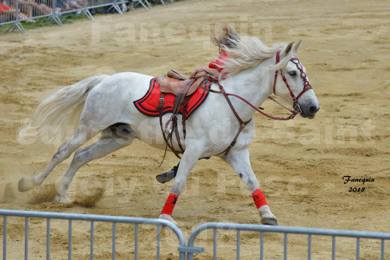 Spectacle Équestre le 3 juin 2018 à Saint Gély du Fesc - Voltige équestre - Troupe de Jean Antoine FIRMIN - 41