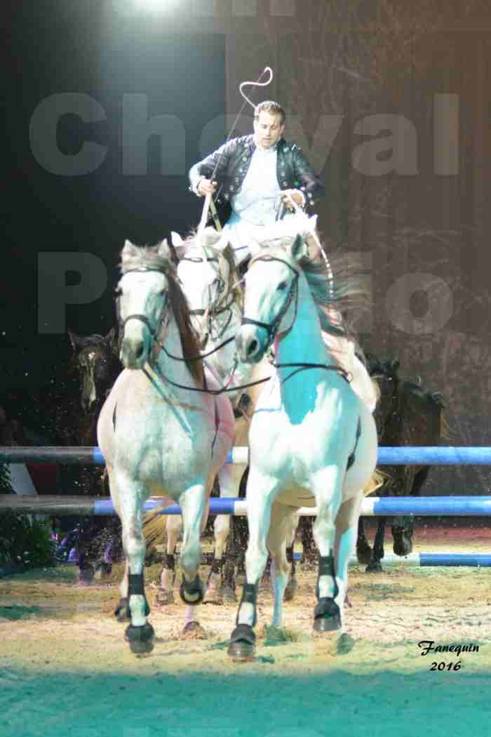 Cheval Passion 2016 - Spectacle les Crinières d'OR - LORENZO "Noir" - représentation du 23 janvier 2016 - 08