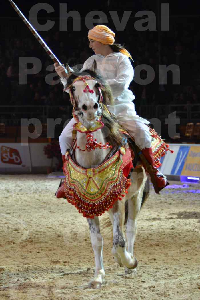 Cheval Passion 2014 - Chevaux BARBES - Notre Sélection - 25