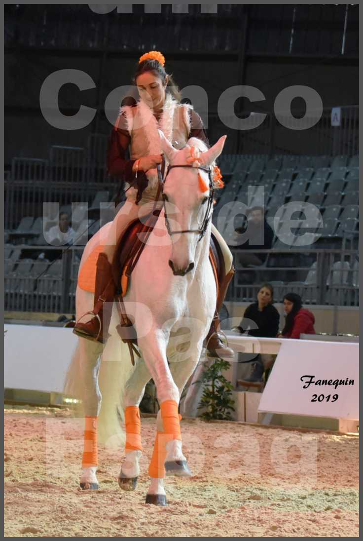 Cheval Passion 2019 - Concours de Pas Espagnol - Étalon "ZIDANE" - 23