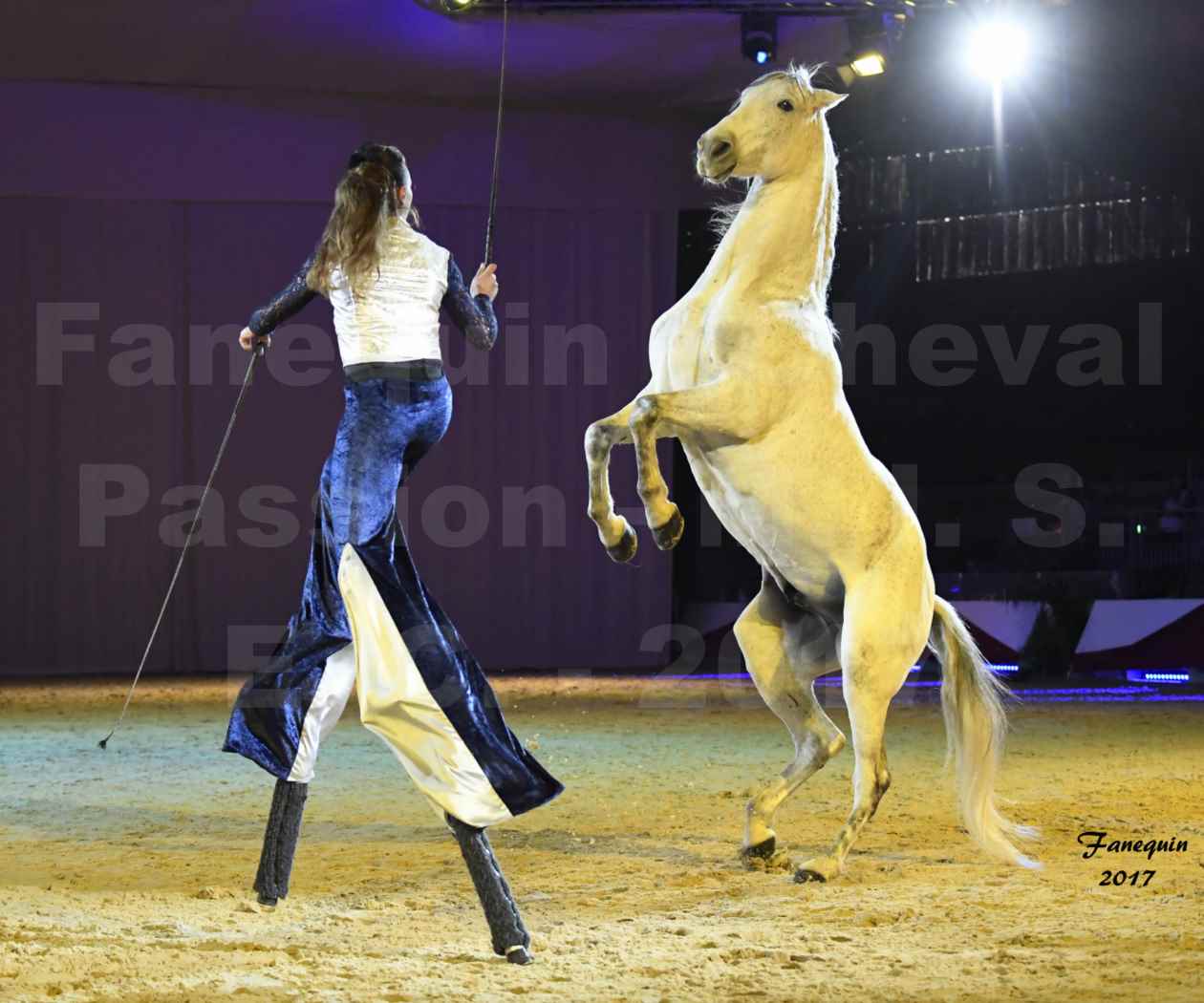 Cheval Passion 2017 - M. I. S. E. C. - Lucie VAUTHIER & 3 chevaux en liberté - 08