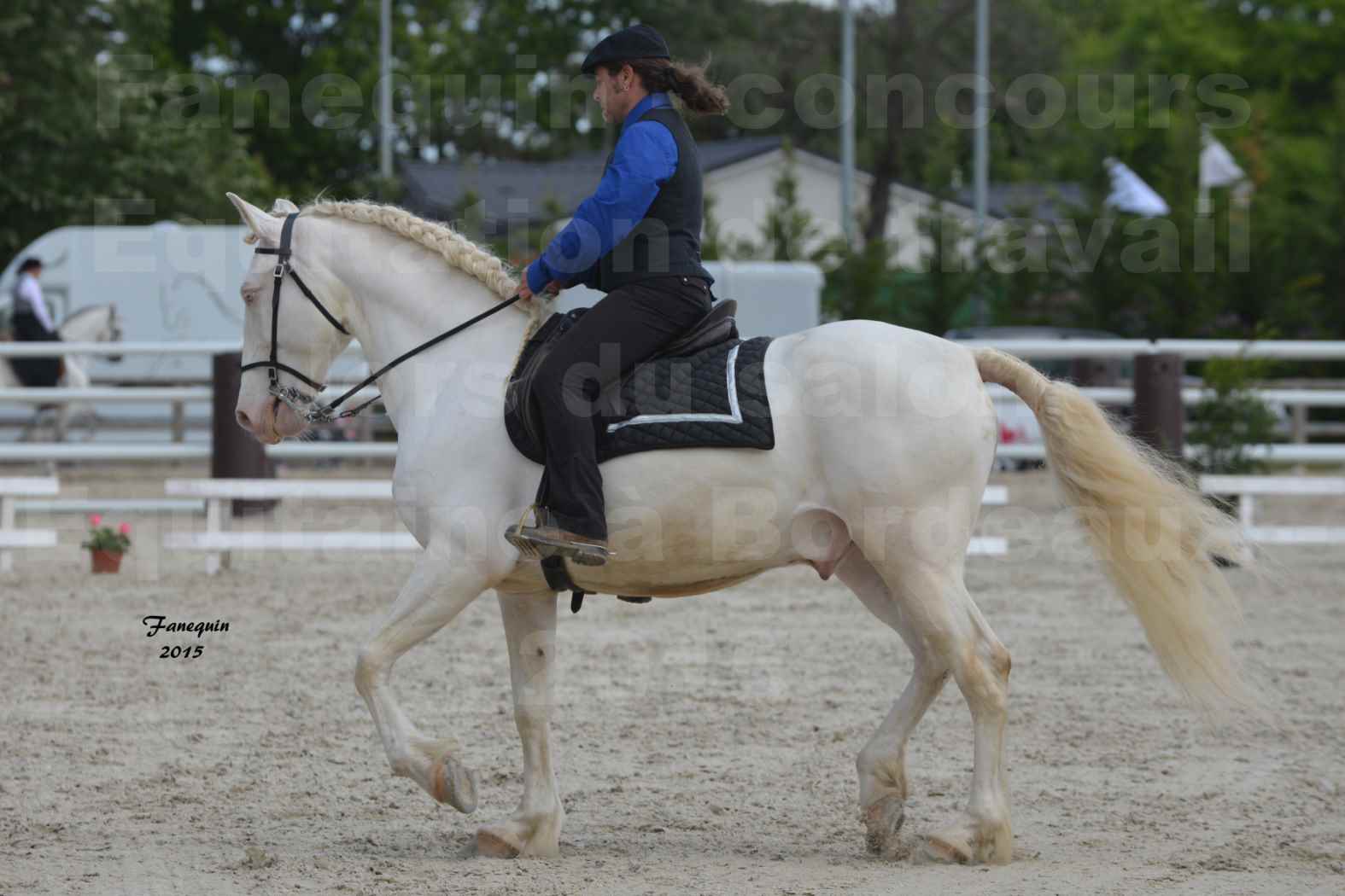 Salon Equitaine de Bordeaux 2015 - Concours d'Equitation de Travail avec chevaux Ibériques - B - 2