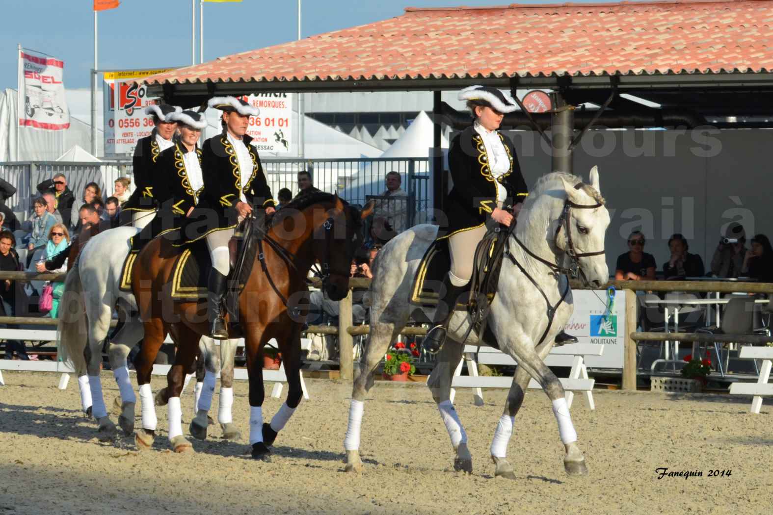 Carrousel de cavalières Equitation de travail lors du salon "Equitaine" à Bordeaux en 2014 - 22