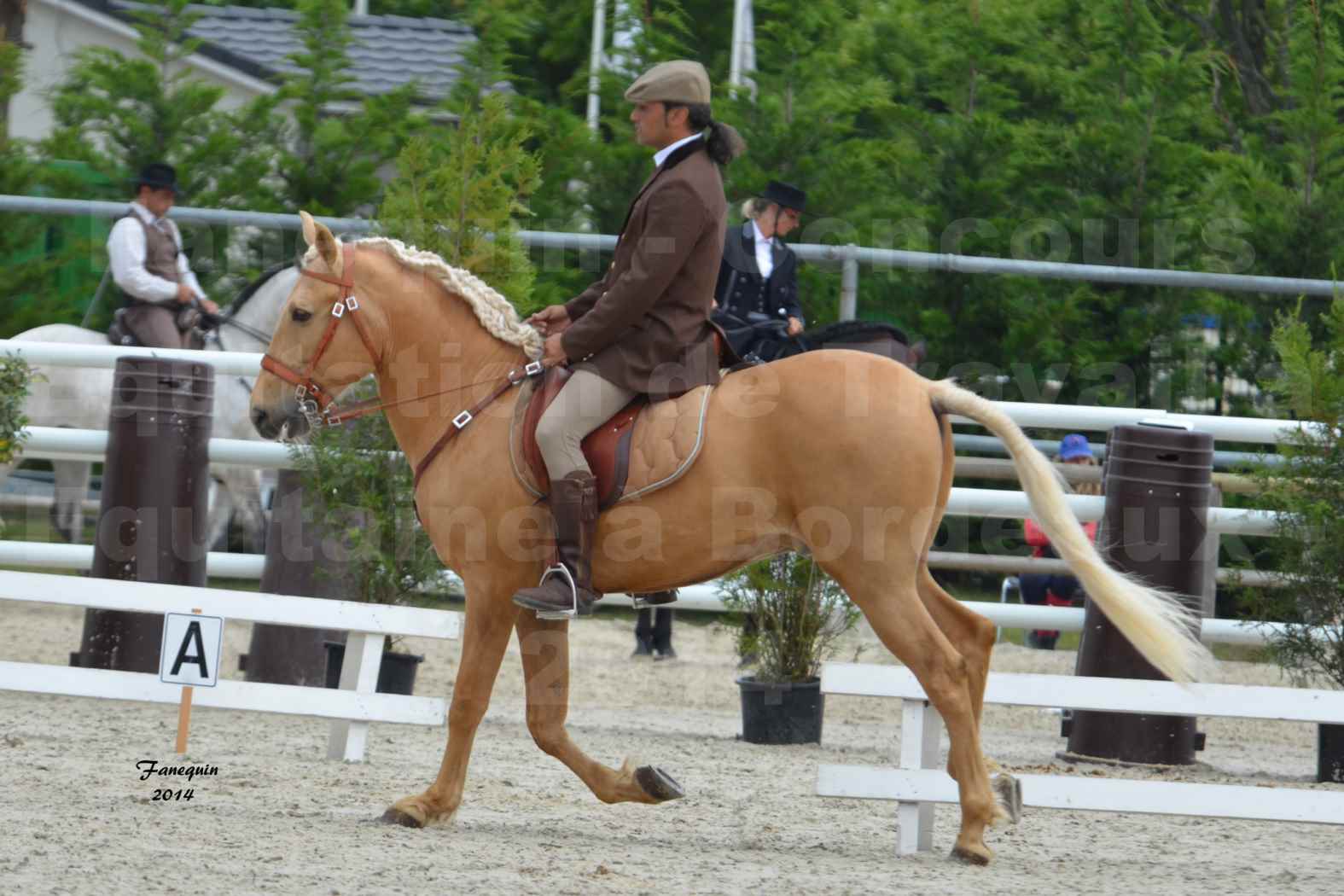 Salon Equitaine de Bordeaux en 2014 - concours Equitation de travail - Épreuve de Dressage - 4