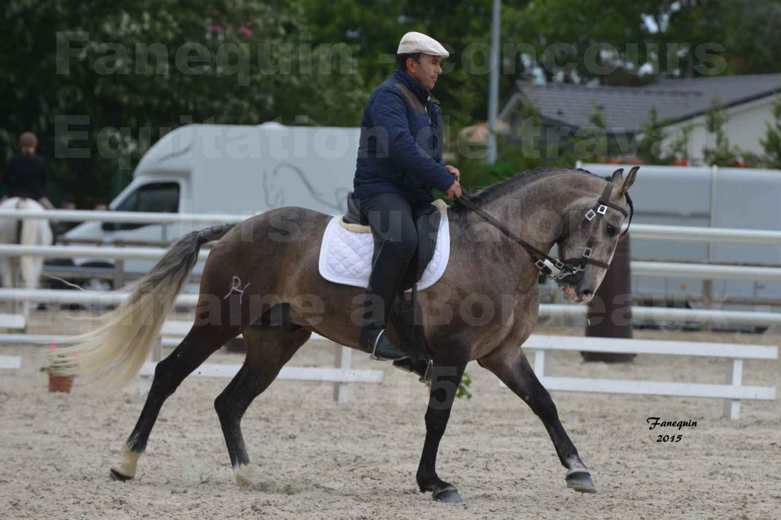 Salon Equitaine de Bordeaux 2015 - Concours d'Equitation de Travail avec chevaux Ibériques - L - 11