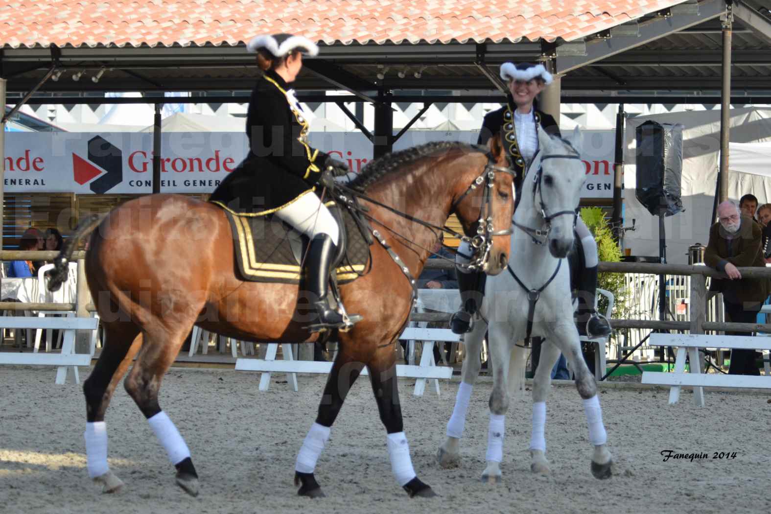 Carrousel de cavalières Equitation de travail lors du salon "Equitaine" à Bordeaux en 2014 - 10