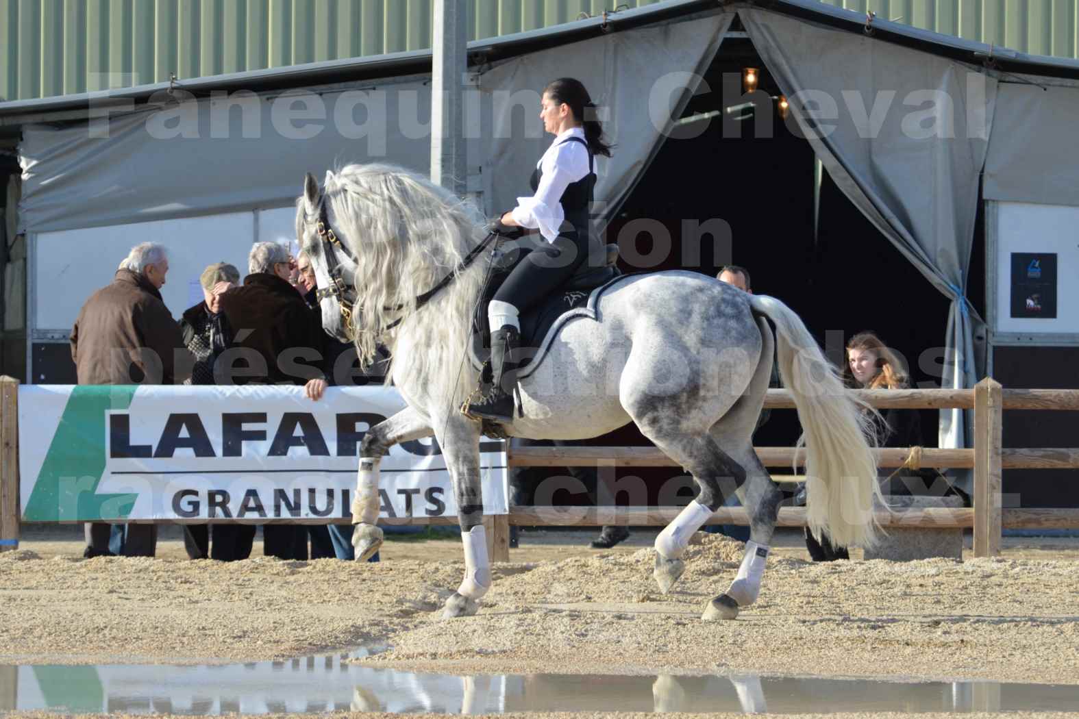 Cheval Passion 2014 - Frédériq VIGNE - Notre Sélection - 02