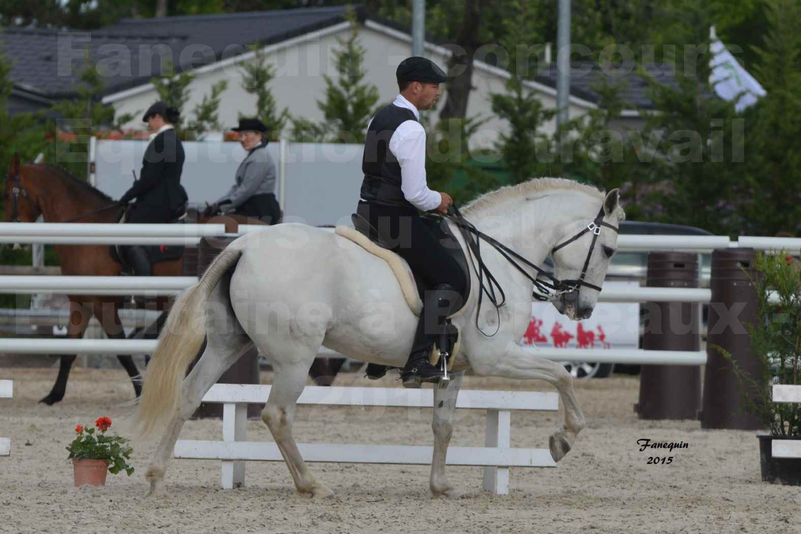 Salon Equitaine de Bordeaux 2015 - Concours d'Equitation de Travail avec chevaux Ibériques - H - 3