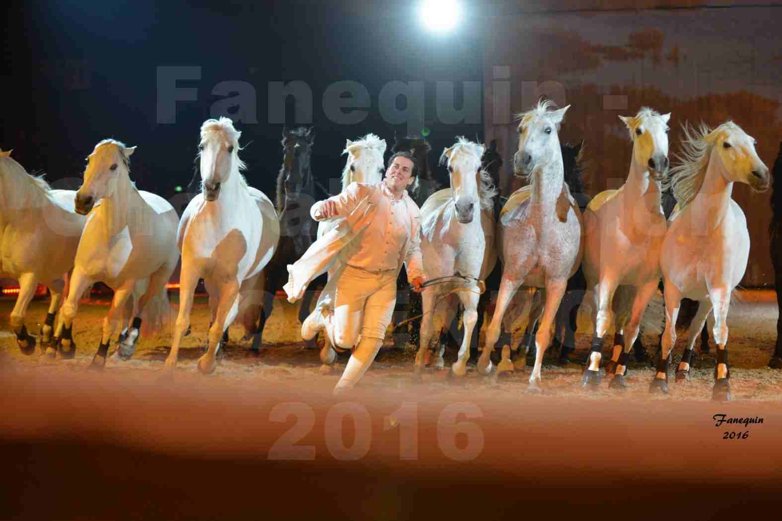 Cheval Passion 2016 - Spectacle les Crinières d'OR - LORENZO "Blanc" - représentation du 20 janvier 2016 - 48