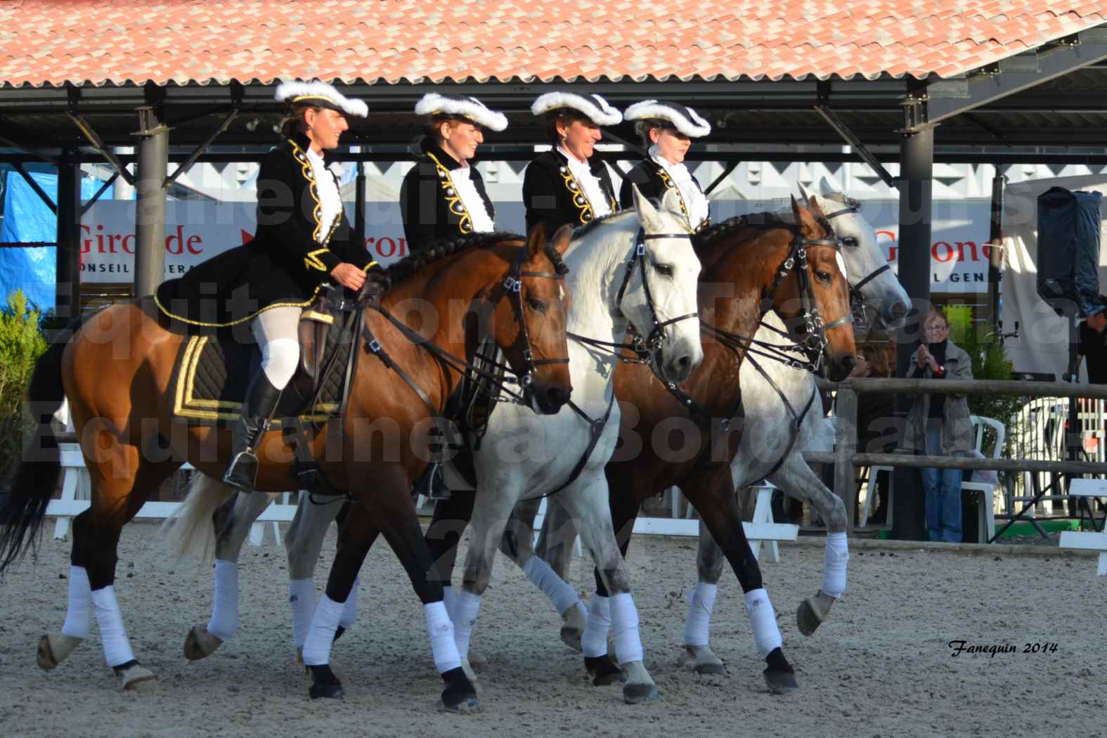 Carrousel de cavalières Equitation de travail lors du salon "Equitaine" à Bordeaux en 2014 - 67