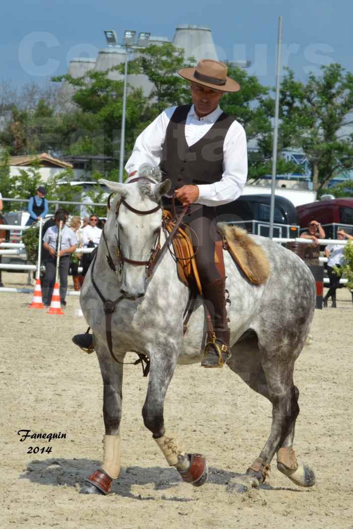 Salon Equitaine de Bordeaux en 2014 - concours Equitation de travail - Épreuve de Maniabilité chronométré - P - 06