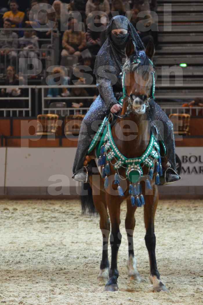 Cheval Passion 2014 - Chevaux BARBES - Notre Sélection - 27