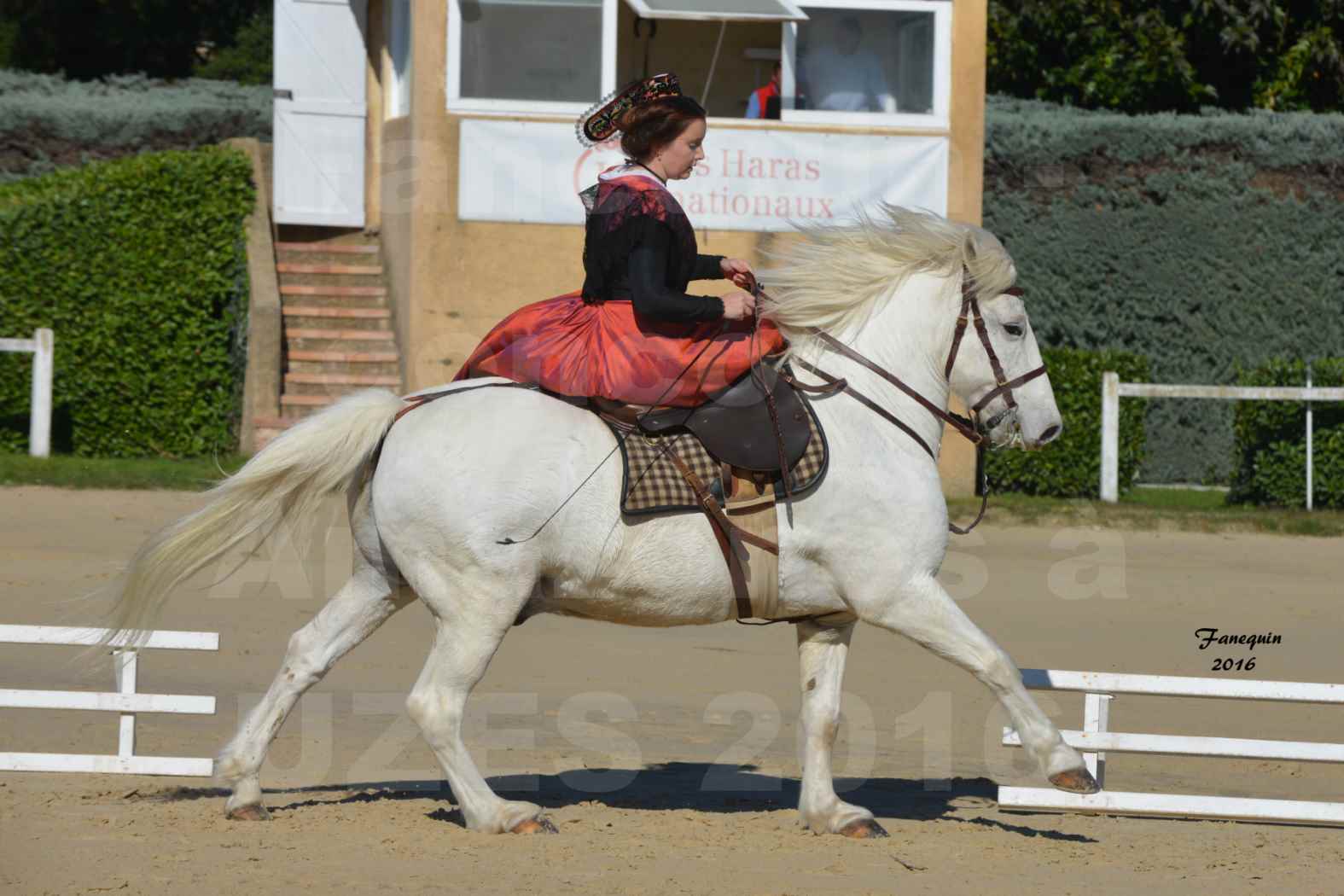 Concours Élégance d'Amazone au Haras d'UZES en Octobre 2016 - Léa CONTE - 10