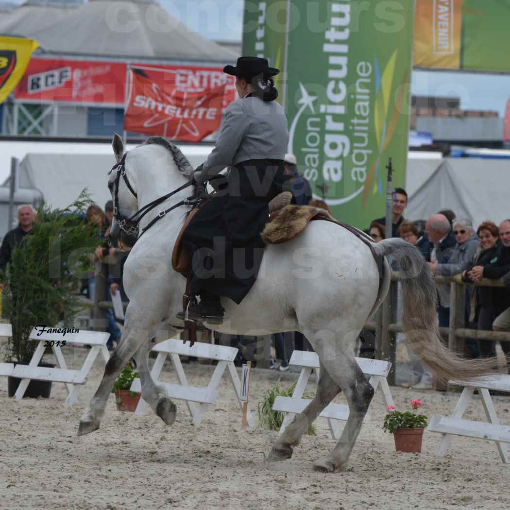 Salon Equitaine de Bordeaux 2015 - Concours d'Equitation de Travail avec chevaux Ibériques - V - 13