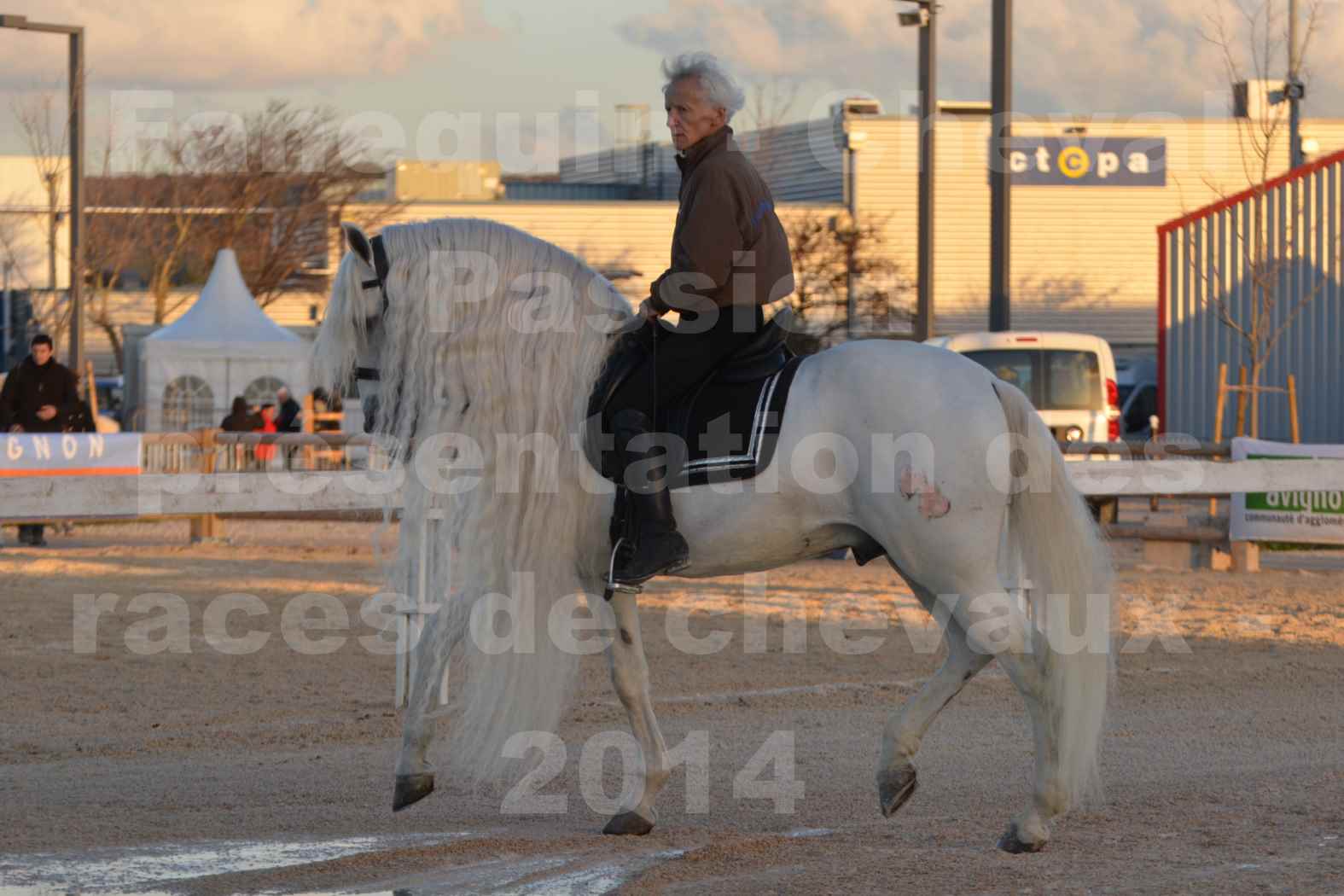 Cheval Passion 2014 - Etalon "GALAN"  blanc écurie Alain LAUZIER - Notre Sélection - 11