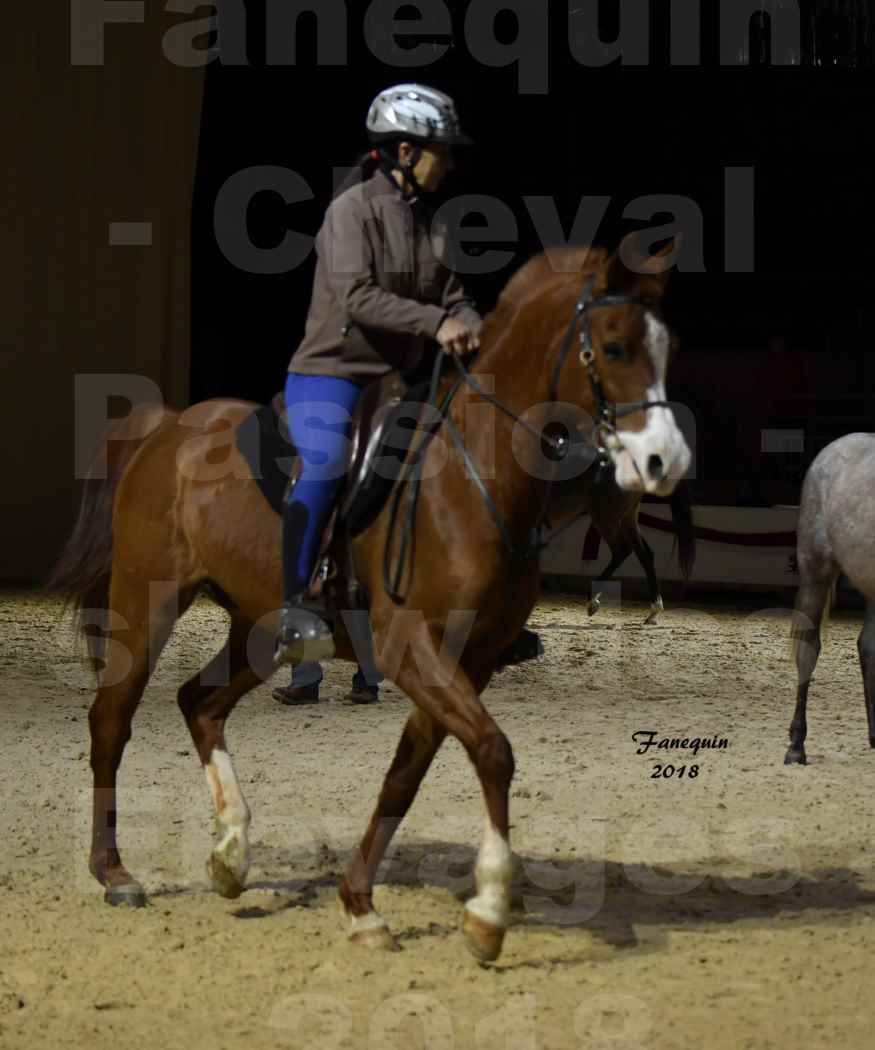 Cheval Passion 2018 - Show des élevages - ARABES
