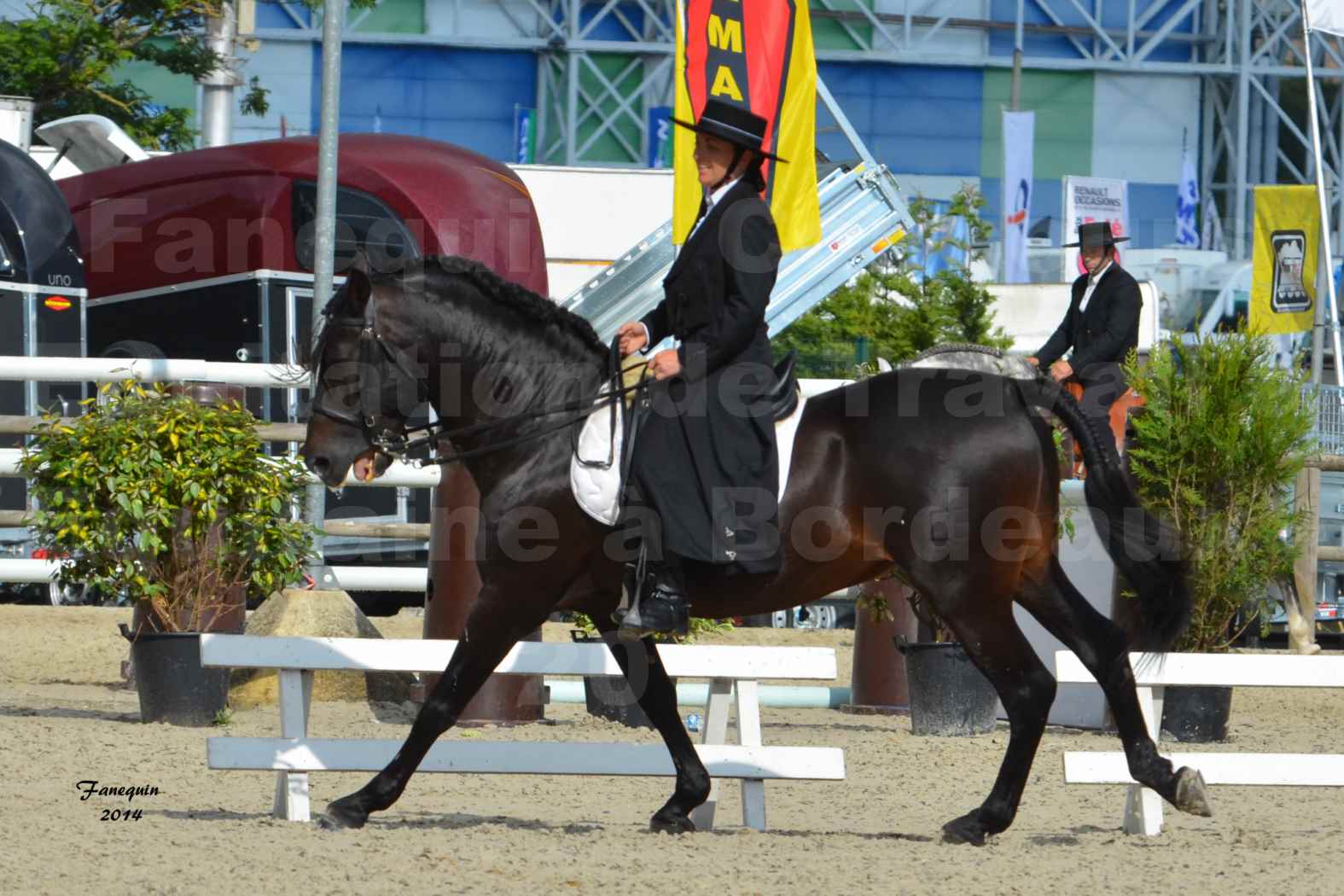 Salon Equitaine de Bordeaux en 2014 - concours Equitation de travail - Épreuve de Dressage - 14